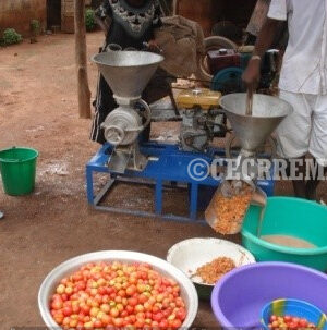 Extrateur de pulpe de tomate